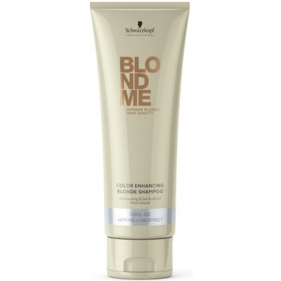 BM SHAMPOOING ECLAT BLOND FROID-GLACIER 250 ML