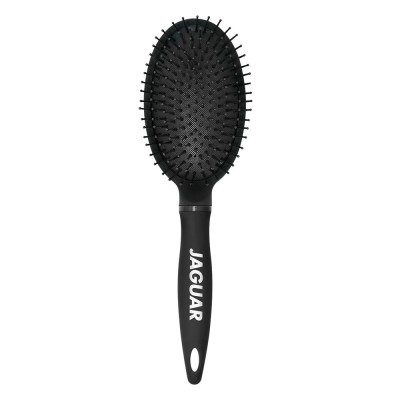 BROSSE JAGUAR S 4