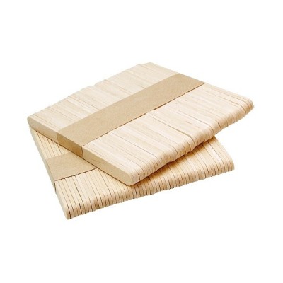 SPATULES  VISAGE PM  x 250 