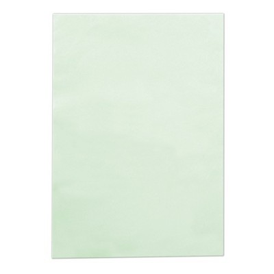 COLLAGENE FEUILLES TEINT PARFAIT X25