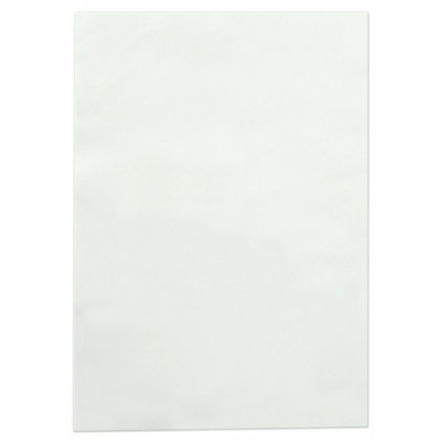 COLLAGENE FEUILLES VISAGE INTEGRAL X25