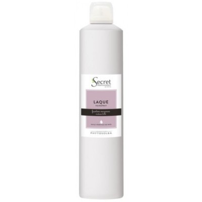 SP LAQUE TECHNIQUE 500ML