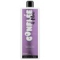 SHAMP GONFLEE A BLOC 500ML