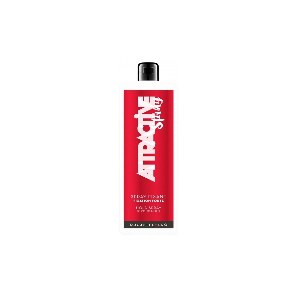 SPRAY FIXANT ATTRACTIVE SPRAY LITRE RECHARGE