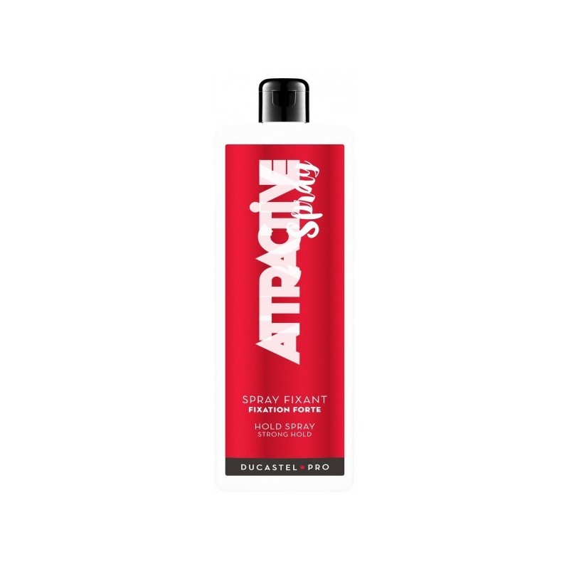 SPRAY FIXANT ATTRACTIVE SPRAY LITRE RECHARGE