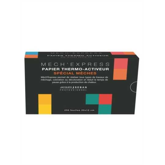 PAPIER MECH' EXPRESS 20 X10 CM