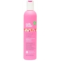 MILK SHAKE COLOR FLOWER SHAMP 300ML